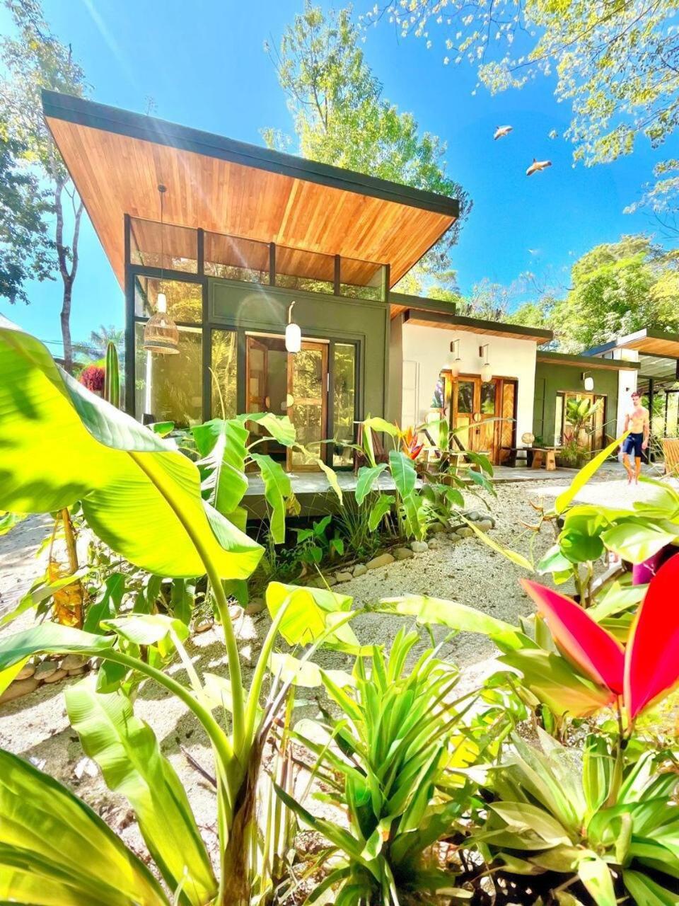 Ikiru House Villa Playa Santa Teresa  Exterior photo